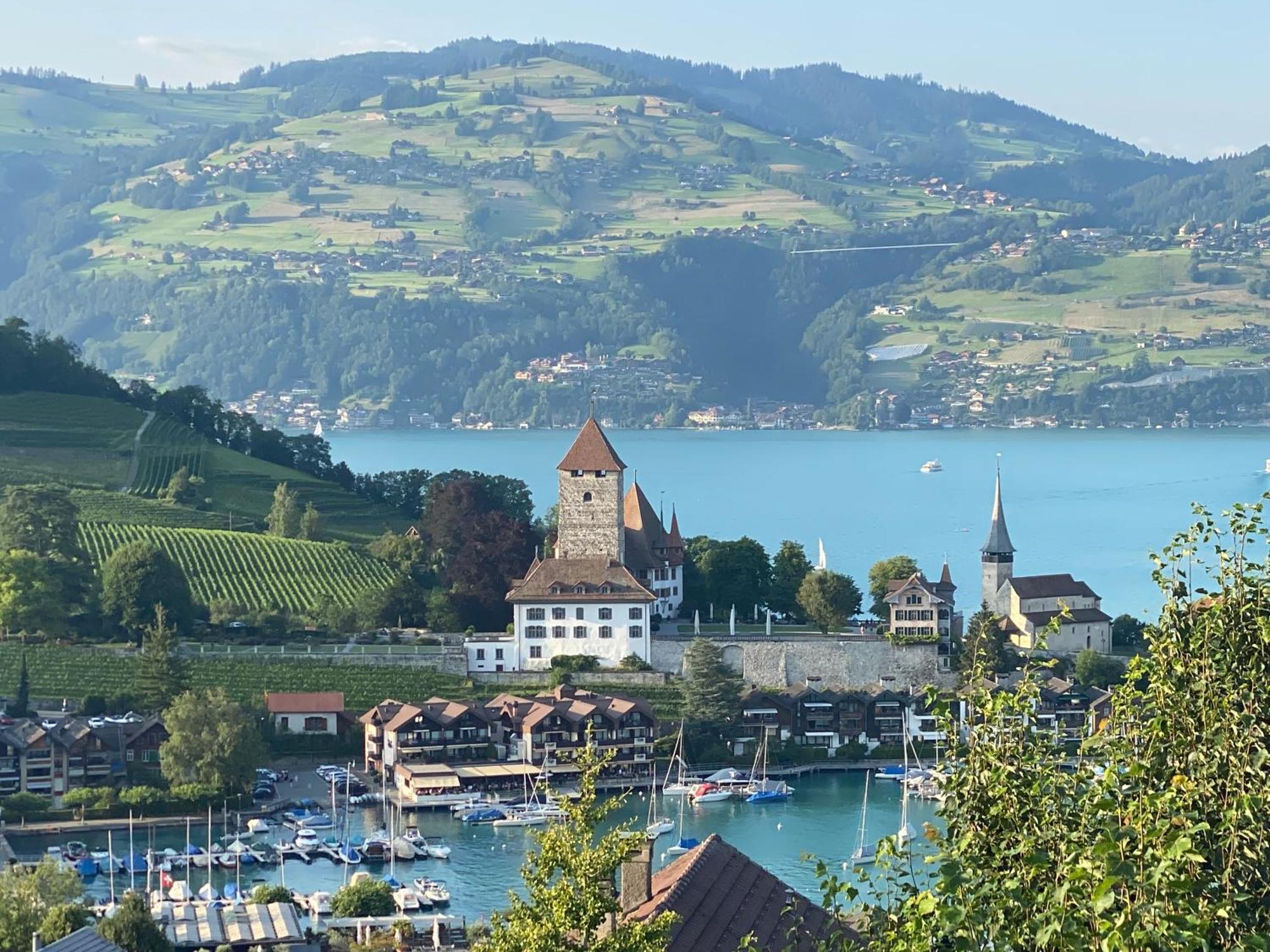 Herrlicher Blick Auf Berge Und See Faulensee Eksteriør billede