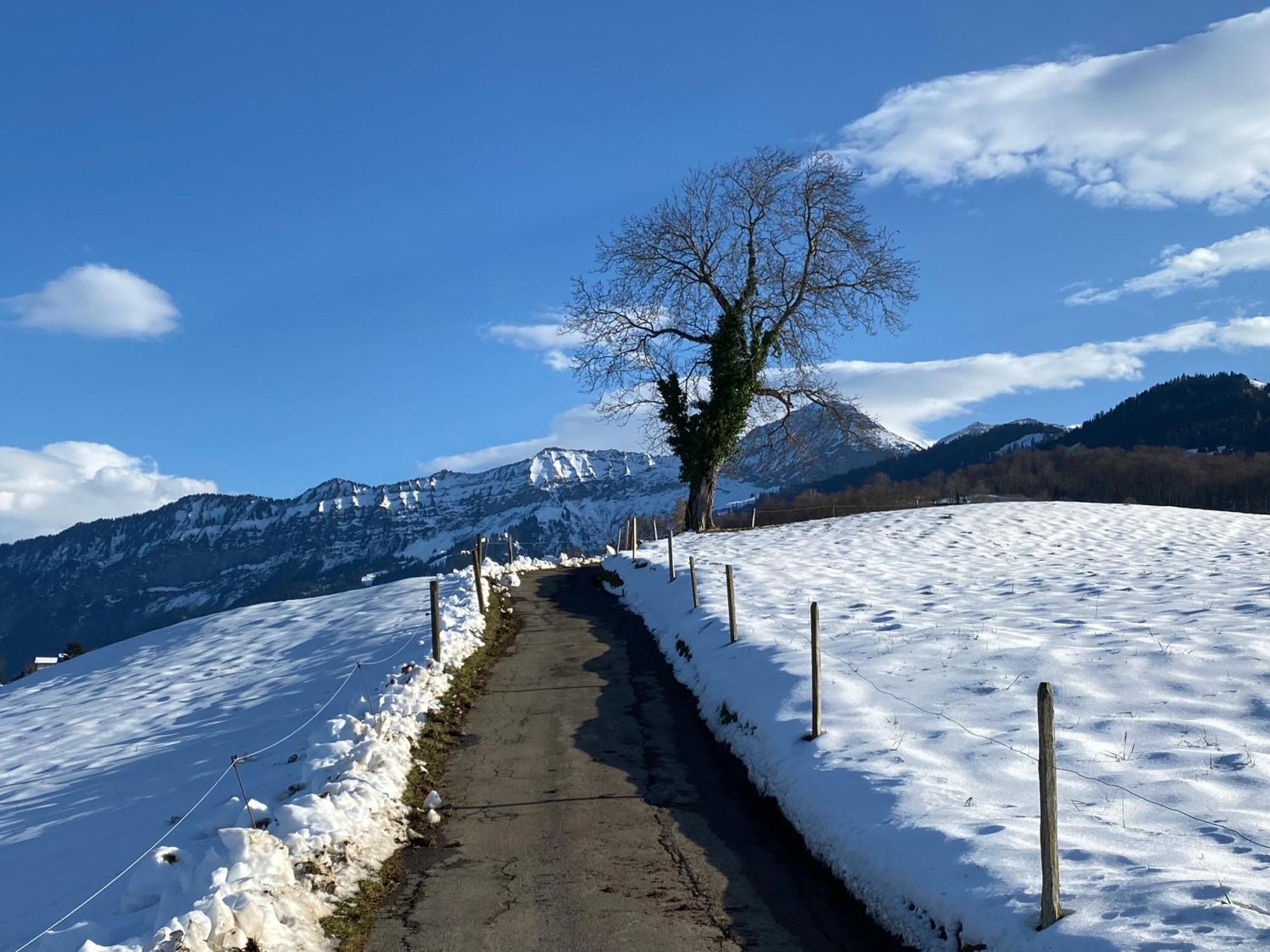 Herrlicher Blick Auf Berge Und See Faulensee Eksteriør billede
